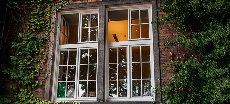 Energy Efficient Wood Windows in Coral Gables, FL