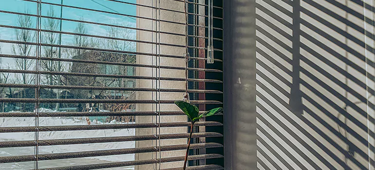 Commercial Window Blinds in Coral Gables, FL